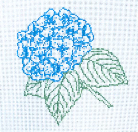 Hydrangea